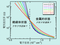 okamoto2