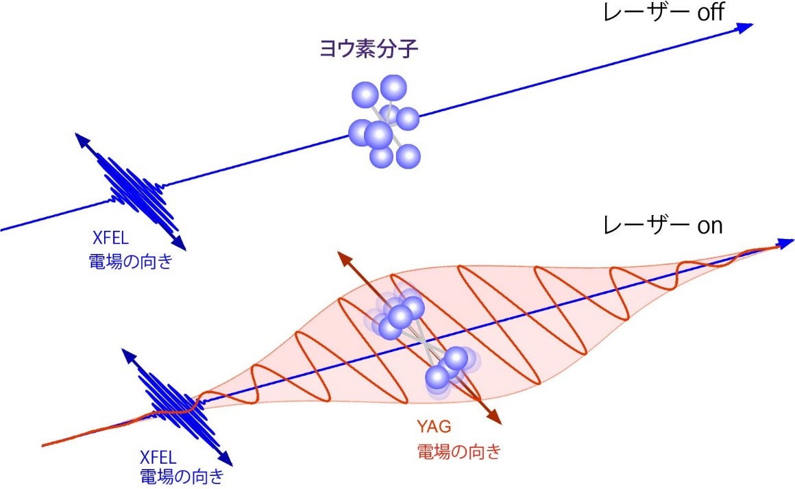 フェムト秒X線光電子回折法により強レーザー電場中の分子の構造