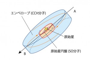 yamamoto_fig1